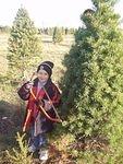Man, cutting down a Christmas tree is really hard for a boy my size!
