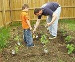 Daddy helped me plant the garden.