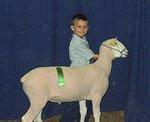 He did an awesome job showing his lamb! Everyone is very proud of him.