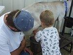 It was so funny to see Elijah milk the goat with both hands :)