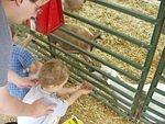 Daddy is helping Elijah feed the goat!