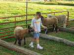 Ok Mary told Timothy that he could name his sheep. So Timothy named him 'Rupert' :) hehe