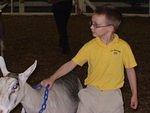 It's hard to tell that this is the first time Timothy has 'shown' a goat.