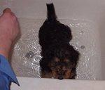 I like the bath!! Really!! I do!