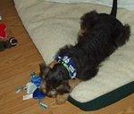 It's so good to be home :)