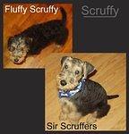 Yes, I probably do have better things to do :)