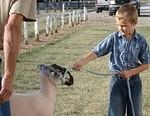 Elijah, the sheep whisperer.