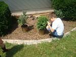 Timmy is the project lead in the "get these bushes into the ground" project :)