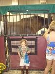 Abby loves horses!