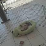 2012-04-22 19-01-54 8-1